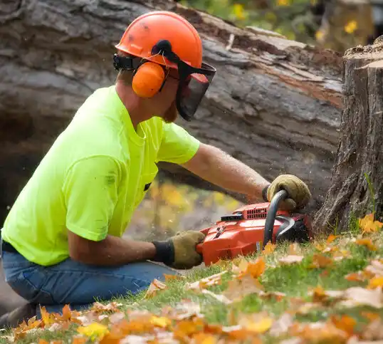 tree services Norco